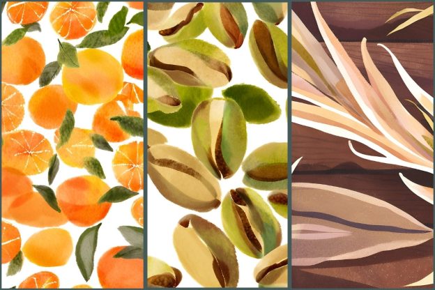 Watercolor graphics of oranges, pistachios, and wild rice